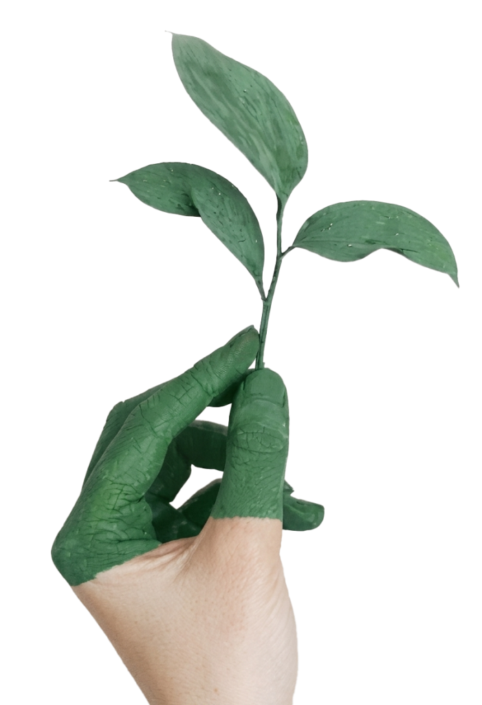 Hand With Plant 2 701x1024